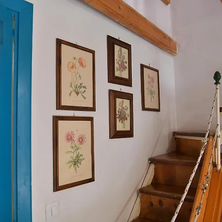 Casa Vicolo Saraceno *